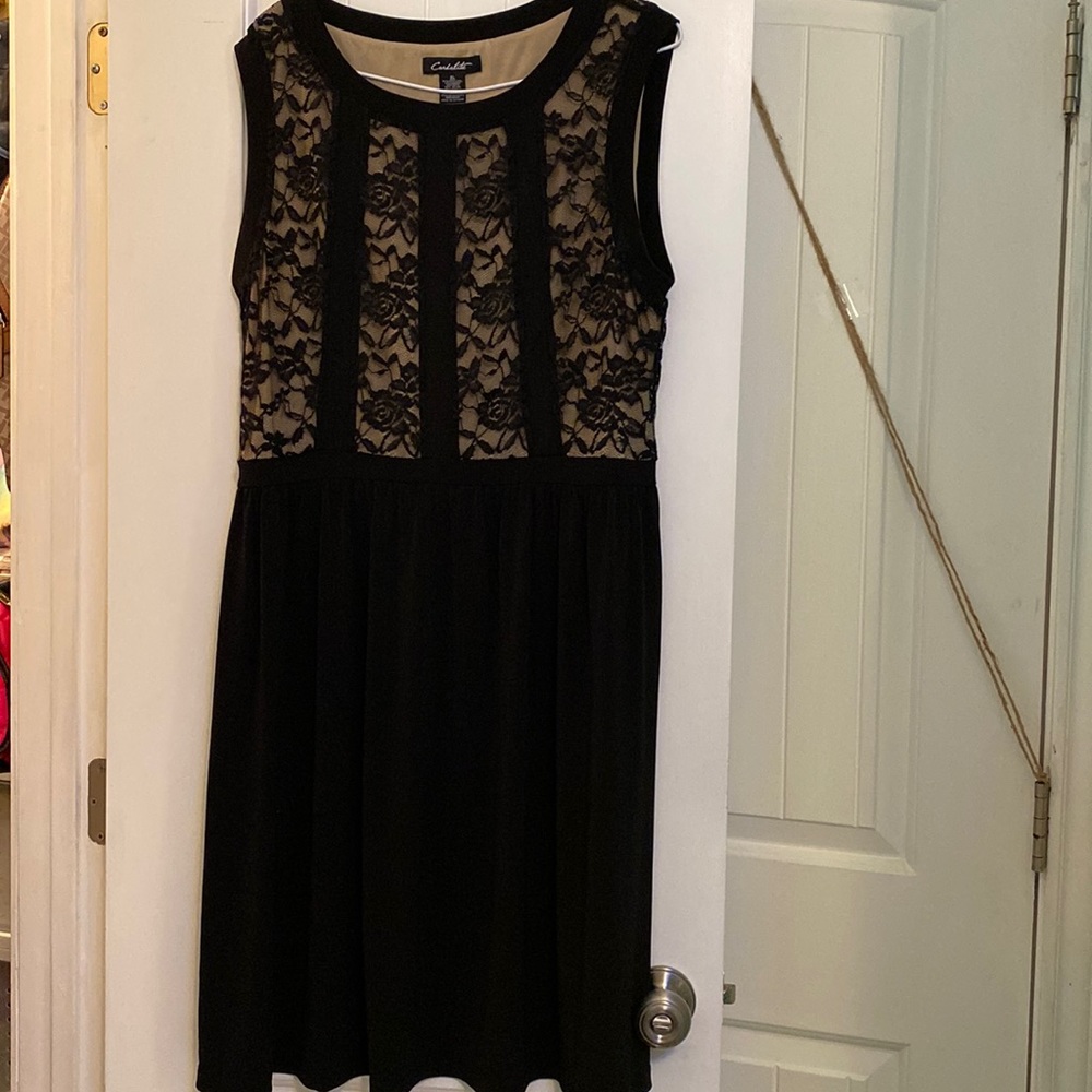FINAL SALE Black lace cinched waist crew neck dress. Sleeveless.